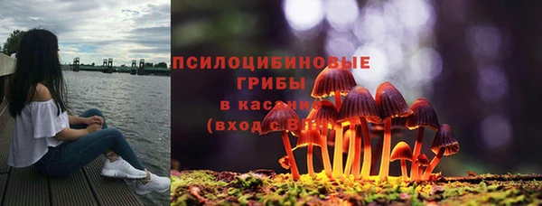 хмурый Алексеевка